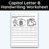 Capital Letter B - Tracing Worksheet - 3 Pack
