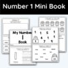 Number 1 Mini Book