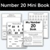 Number 20 Mini Book