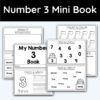 Number 3 Mini Book