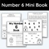 Number 6 Mini Book