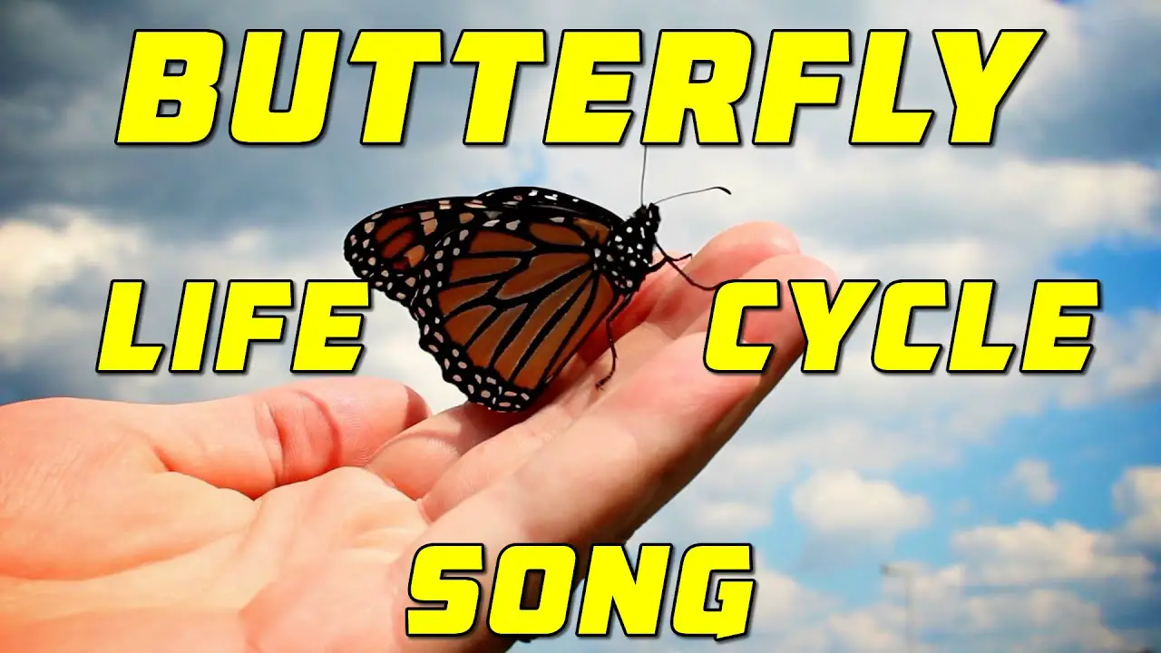 10 Catchy Butterfly Songs for Preschoolers Education Outside