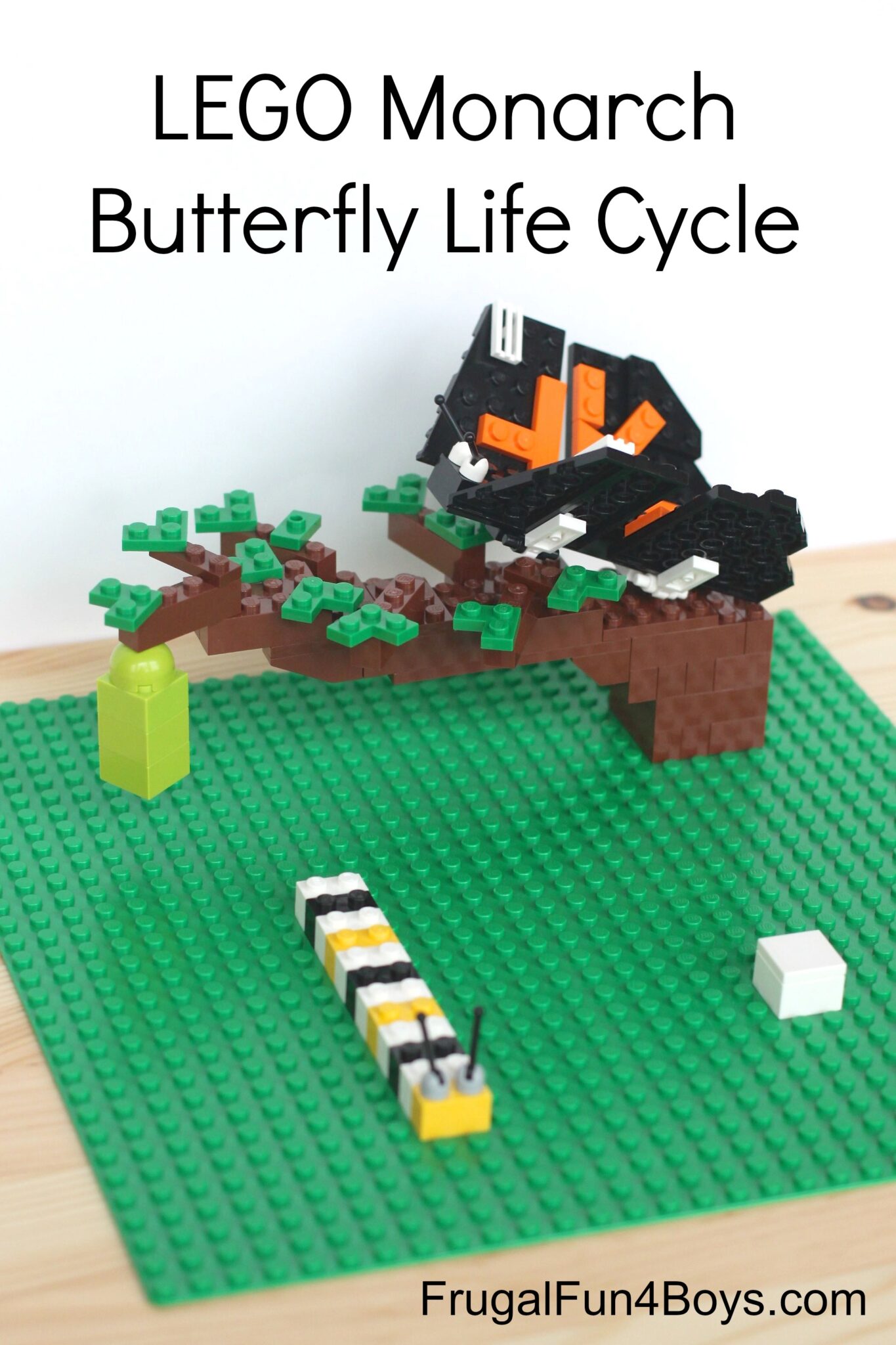 10 Engaging Butterfly Life Cycle Activities for Preschool - Education ...