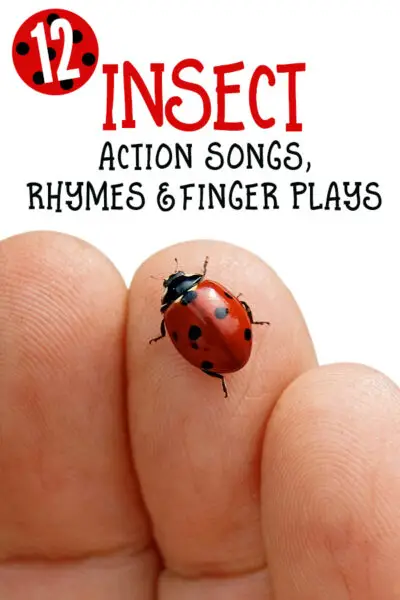 Songs About Bugs And Insects For Preschoolers 10 Catchy Bug and Insect Songs for Preschool Kids - Education Outside